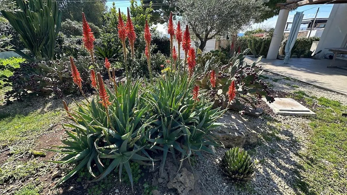 Delizioso Appartamento A Ridosso Del Mare Del Plemmirio Siracusa Appartement